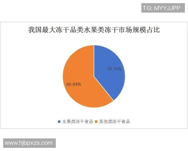 上海足球队的运营揭秘：从管理模式到市场策略的全面分析
